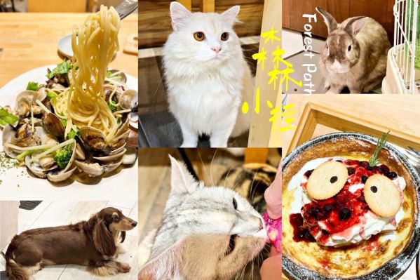 森林小徑大墩店對寵物超友善